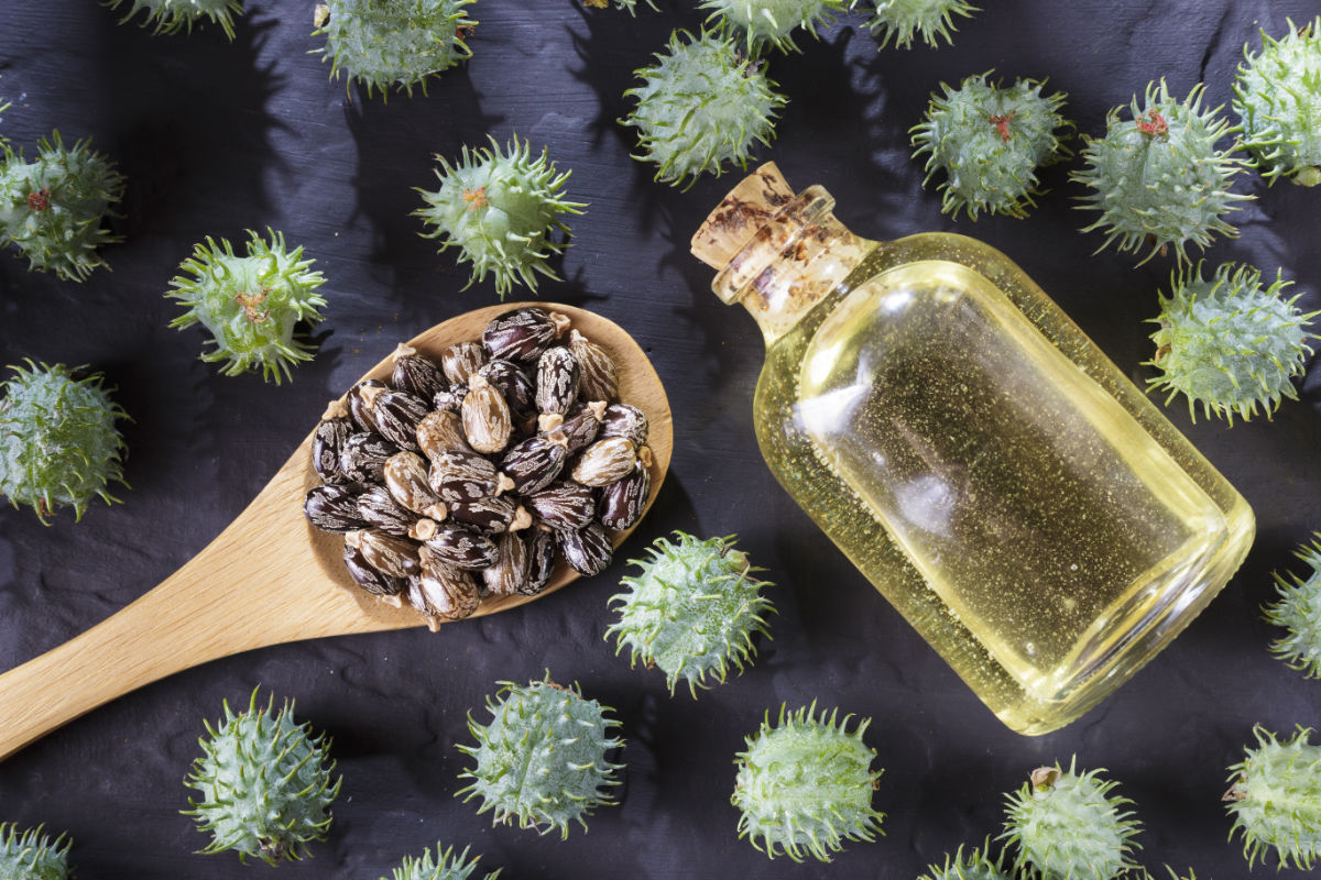 L’huile de ricin: bienfaits, usages, doses et ce que dit la science